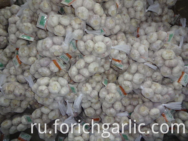 High Quality Fresh Normal White Garlic